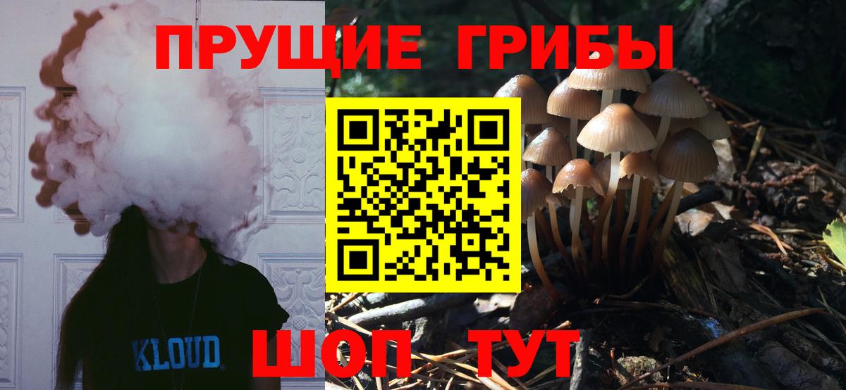Псилоцибиновые грибы ЛСД Чистополь